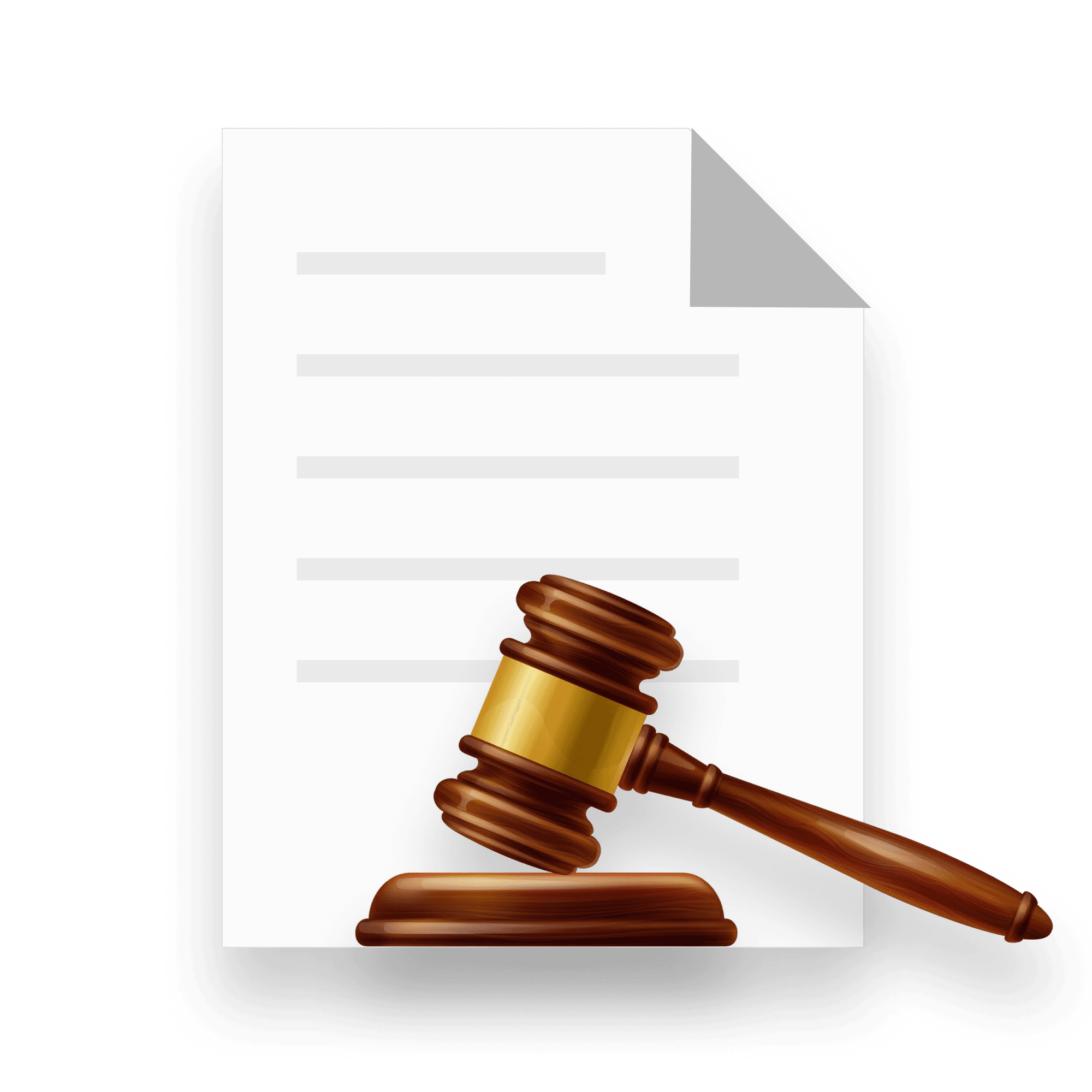 Download Execution Petition Format PDF